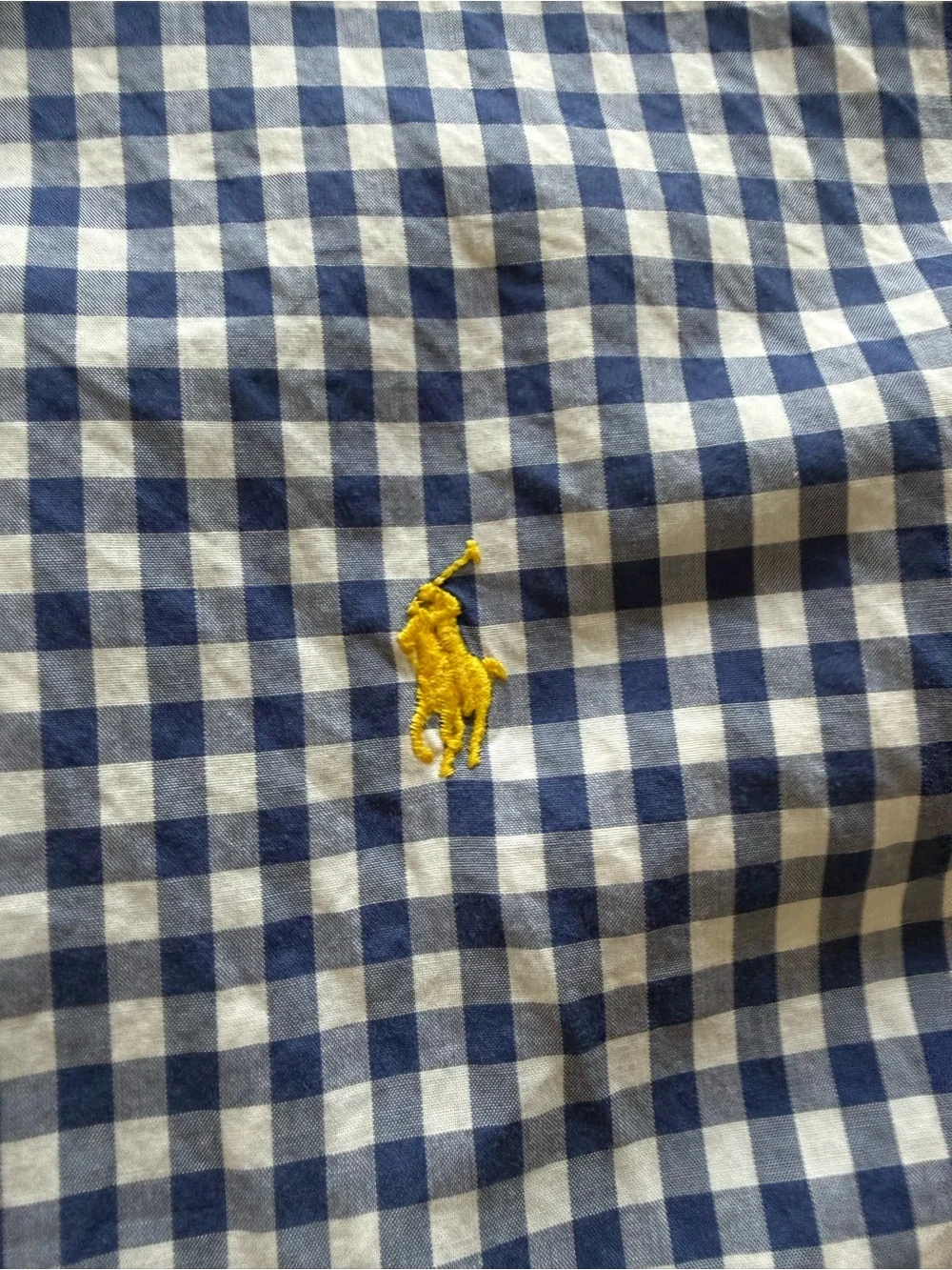 Polo by Ralph Lauren Blue & White Gingham Short-Sleeve Button-Down Shirt